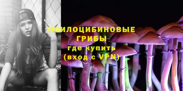 гидра Алексин