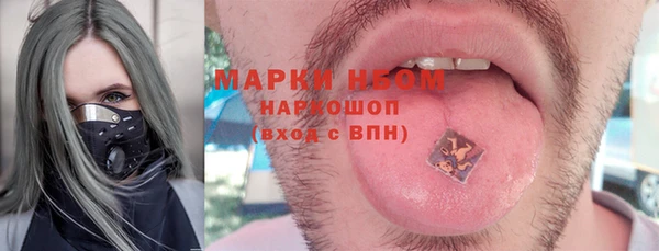 гидра Алексин