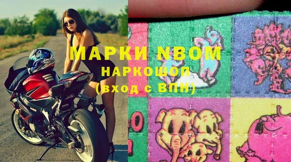 гидра Алексин