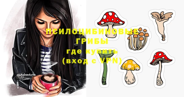 гидра Алексин