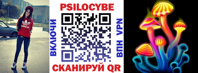 Галлюциногенные грибы Psilocybe  Оленегорск 