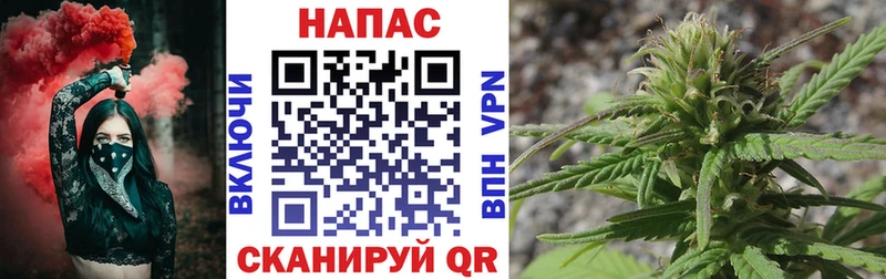 МАРИХУАНА план  дарнет шоп  Оленегорск 